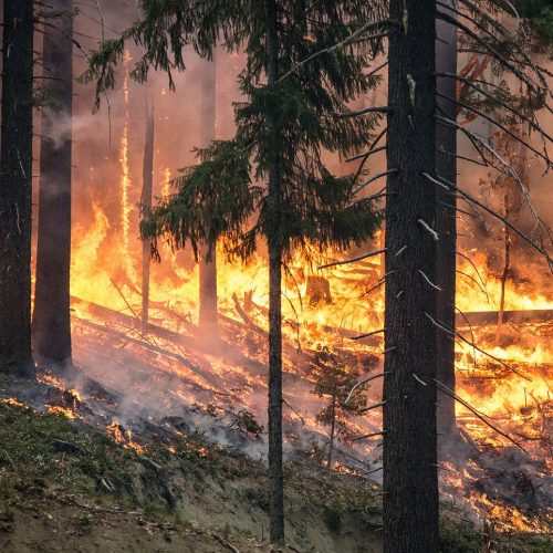Чиновники в районах к пожарной безопасности подходят формально