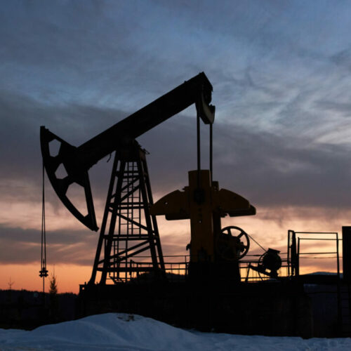 Инновационный метод очистки почв от нефтепродуктов разработали в НГТУ