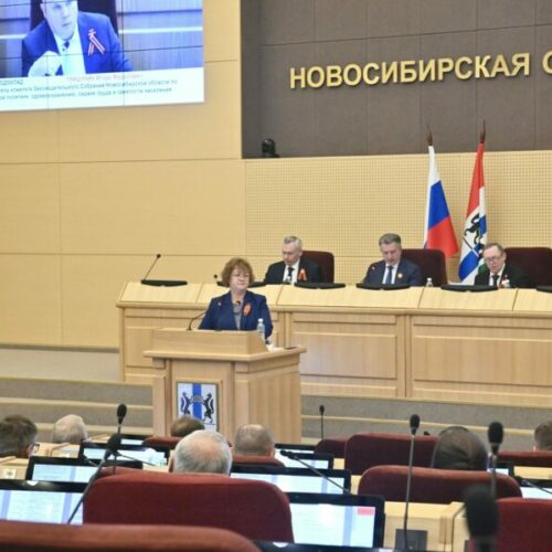 Депутаты Заксобрания поддержали изменения в бюджет Новосибирской области